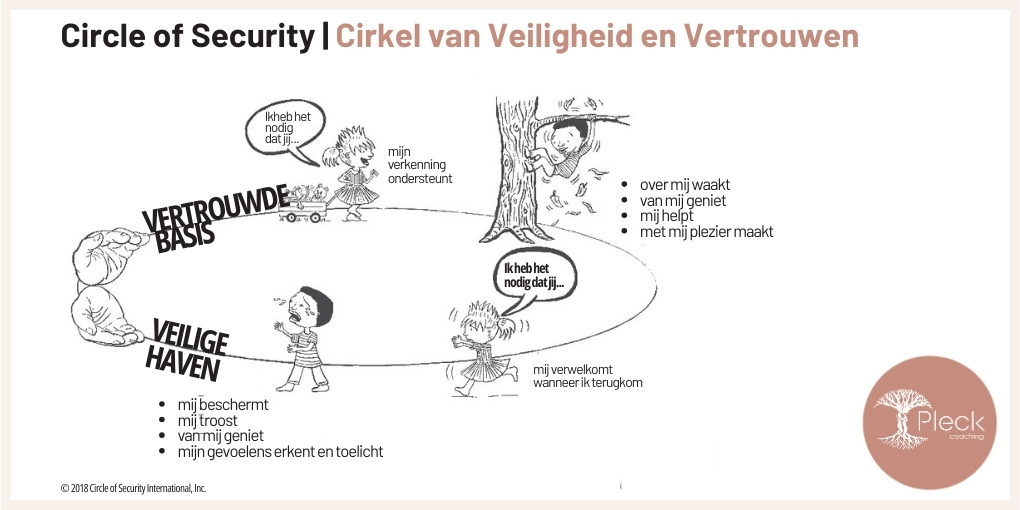 Circle of Security® De ouder die inspeelt op de noden van het kind